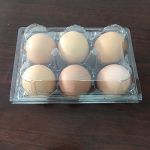 Khay trứng gà - Bao Bì Nhựa Phú Khang - Công Ty TNHH Sản Xuất TM DV Nhựa Phú Khang